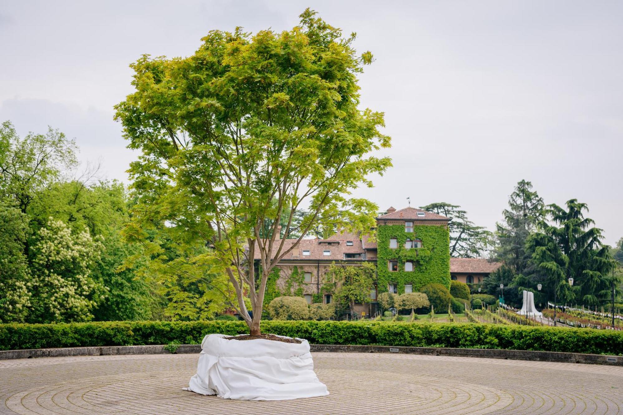 L'Albereta Relais & Chateaux Erbusco Bagian luar foto